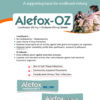 Alefox-OZ,allengeindia,antibacterial